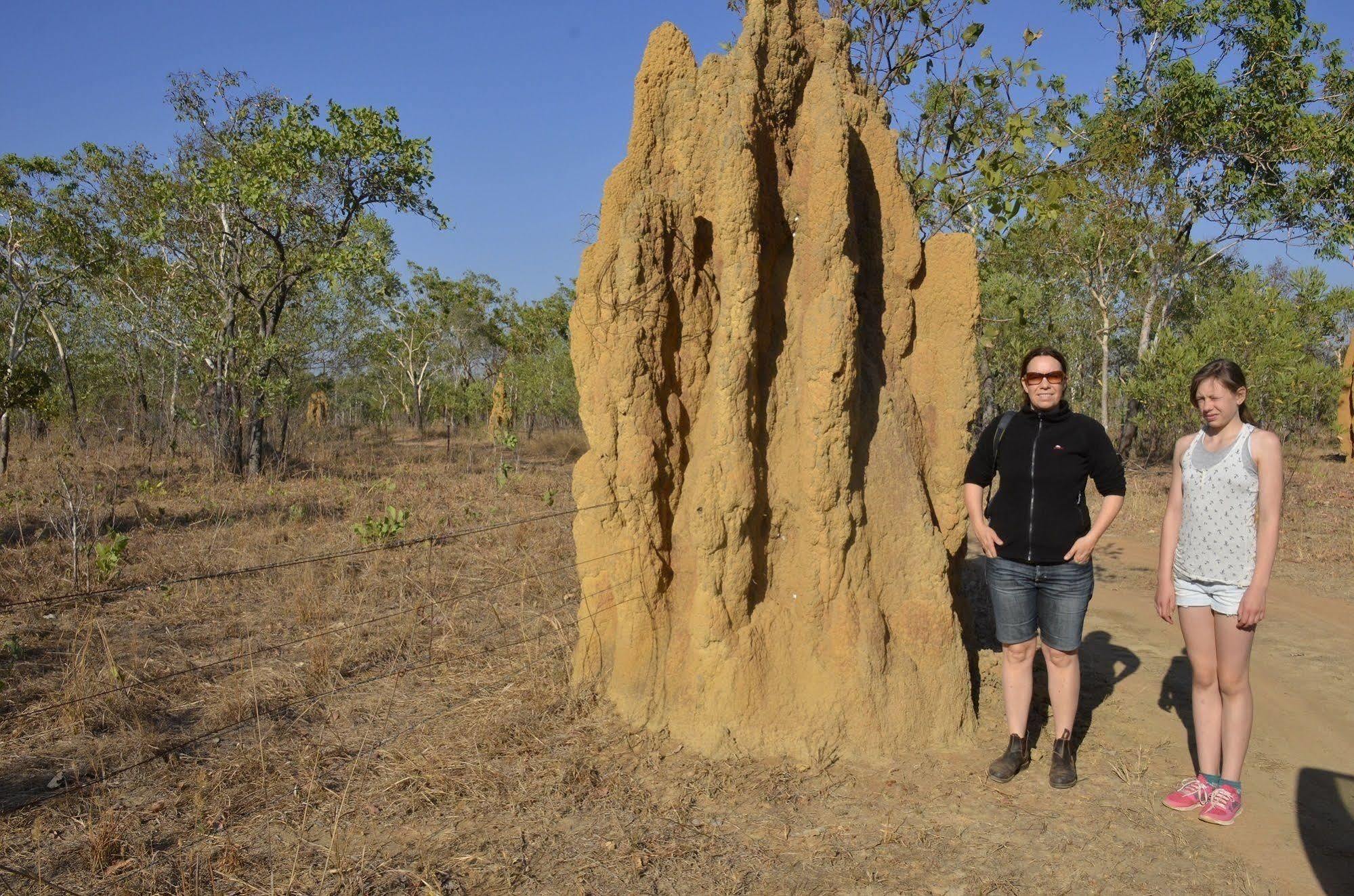 Mt Bundy Station Villa Batchelor Luaran gambar