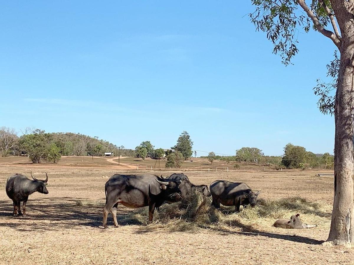 Mt Bundy Station Villa Batchelor Luaran gambar